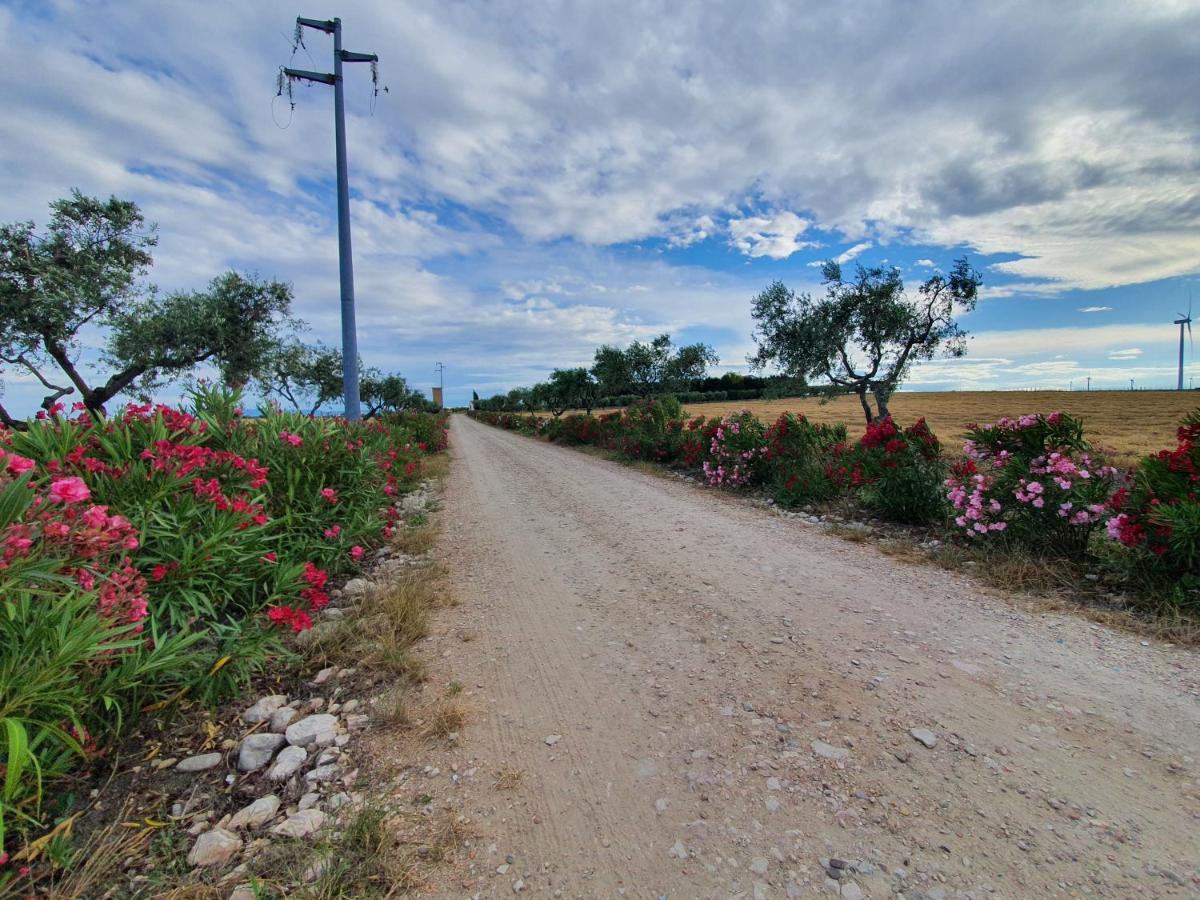 Tenuta Viale Degli Ulivi San Martino in Pensilis Buitenkant foto
