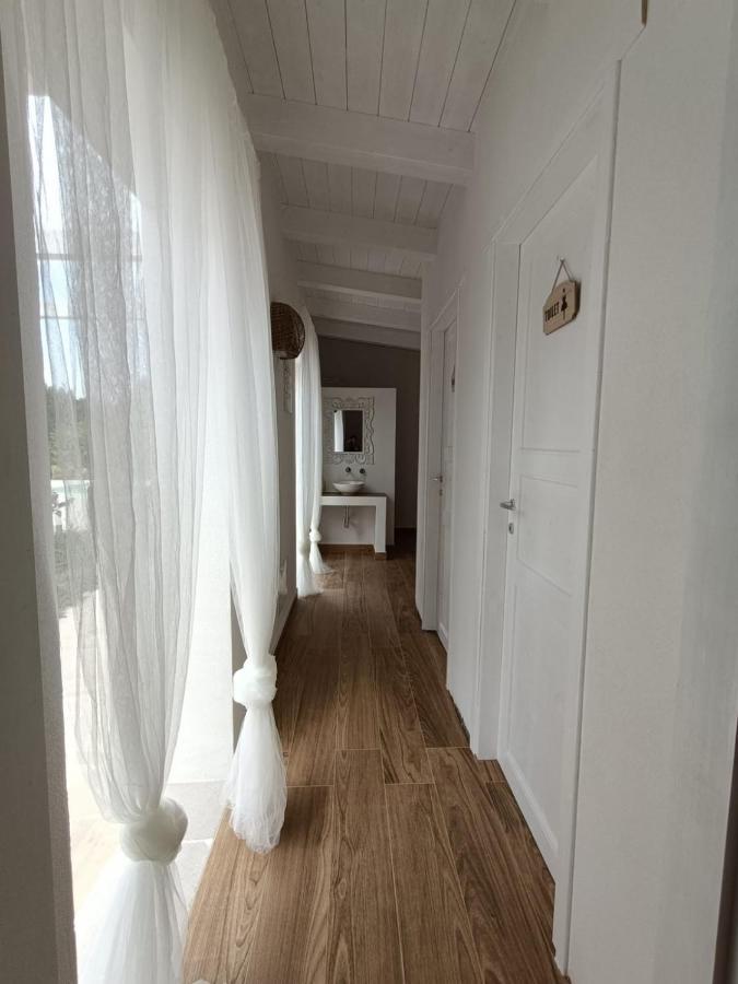 Tenuta Viale Degli Ulivi San Martino in Pensilis Buitenkant foto