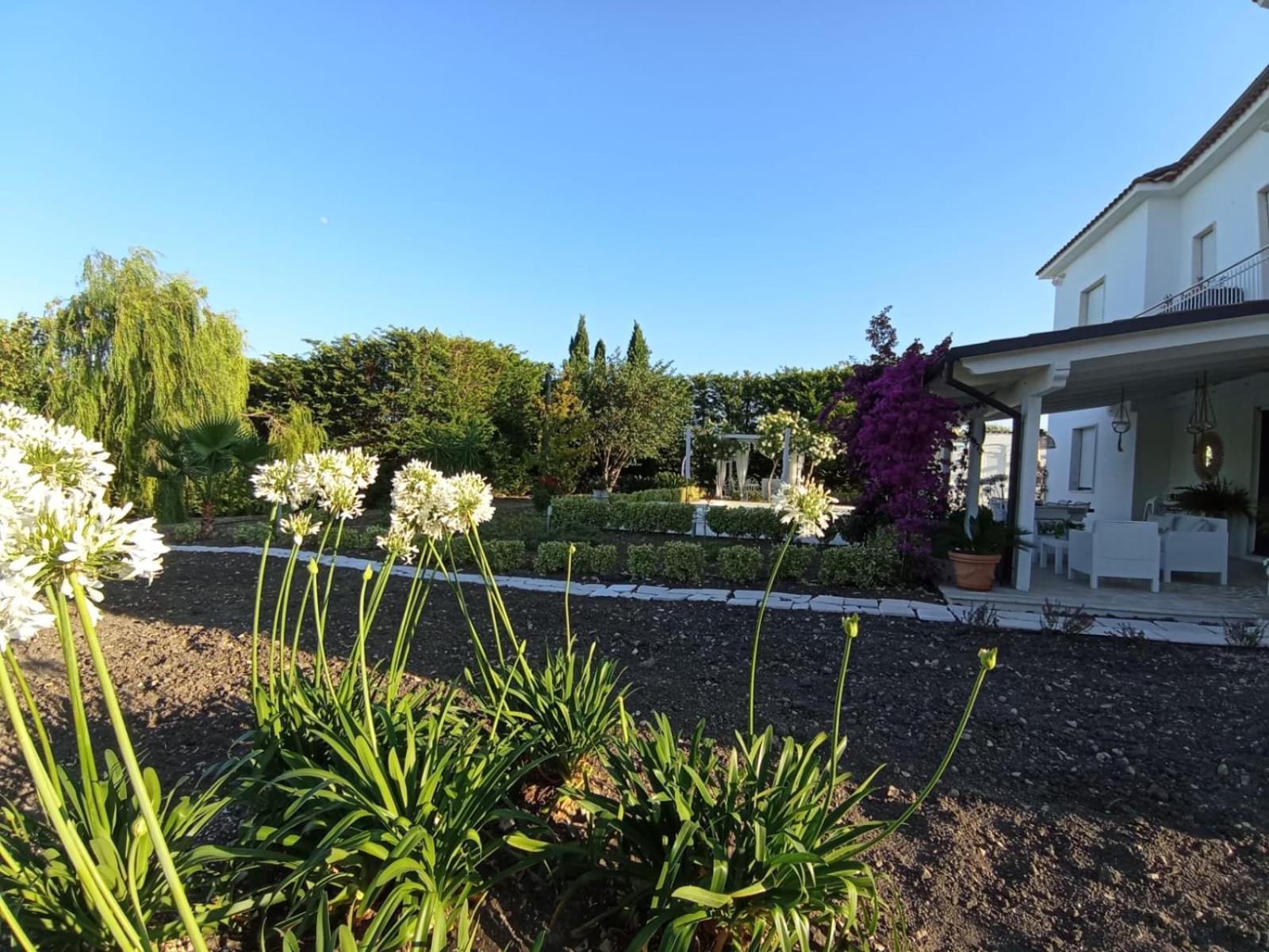 Tenuta Viale Degli Ulivi San Martino in Pensilis Buitenkant foto