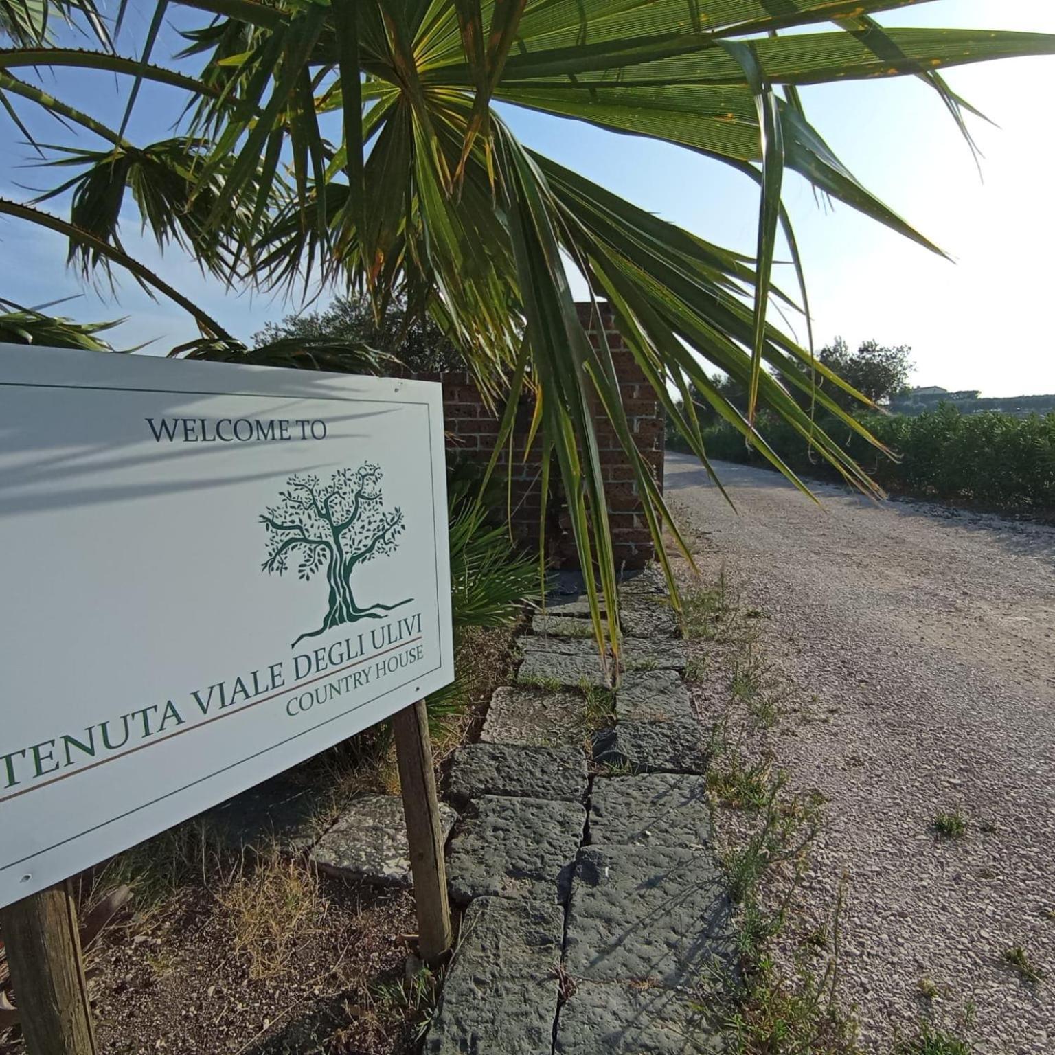 Tenuta Viale Degli Ulivi San Martino in Pensilis Buitenkant foto