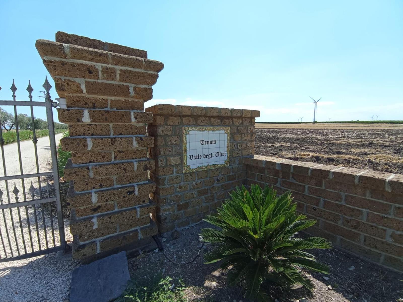 Tenuta Viale Degli Ulivi San Martino in Pensilis Buitenkant foto