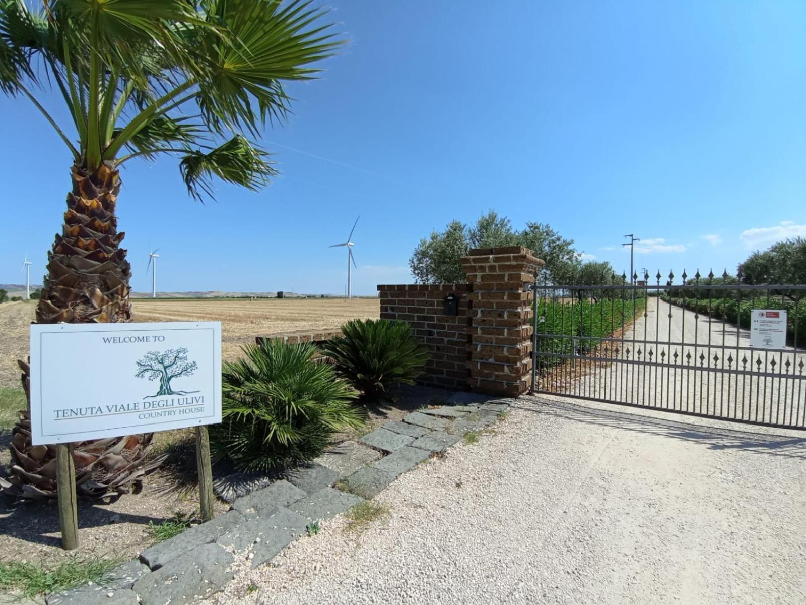Tenuta Viale Degli Ulivi San Martino in Pensilis Buitenkant foto