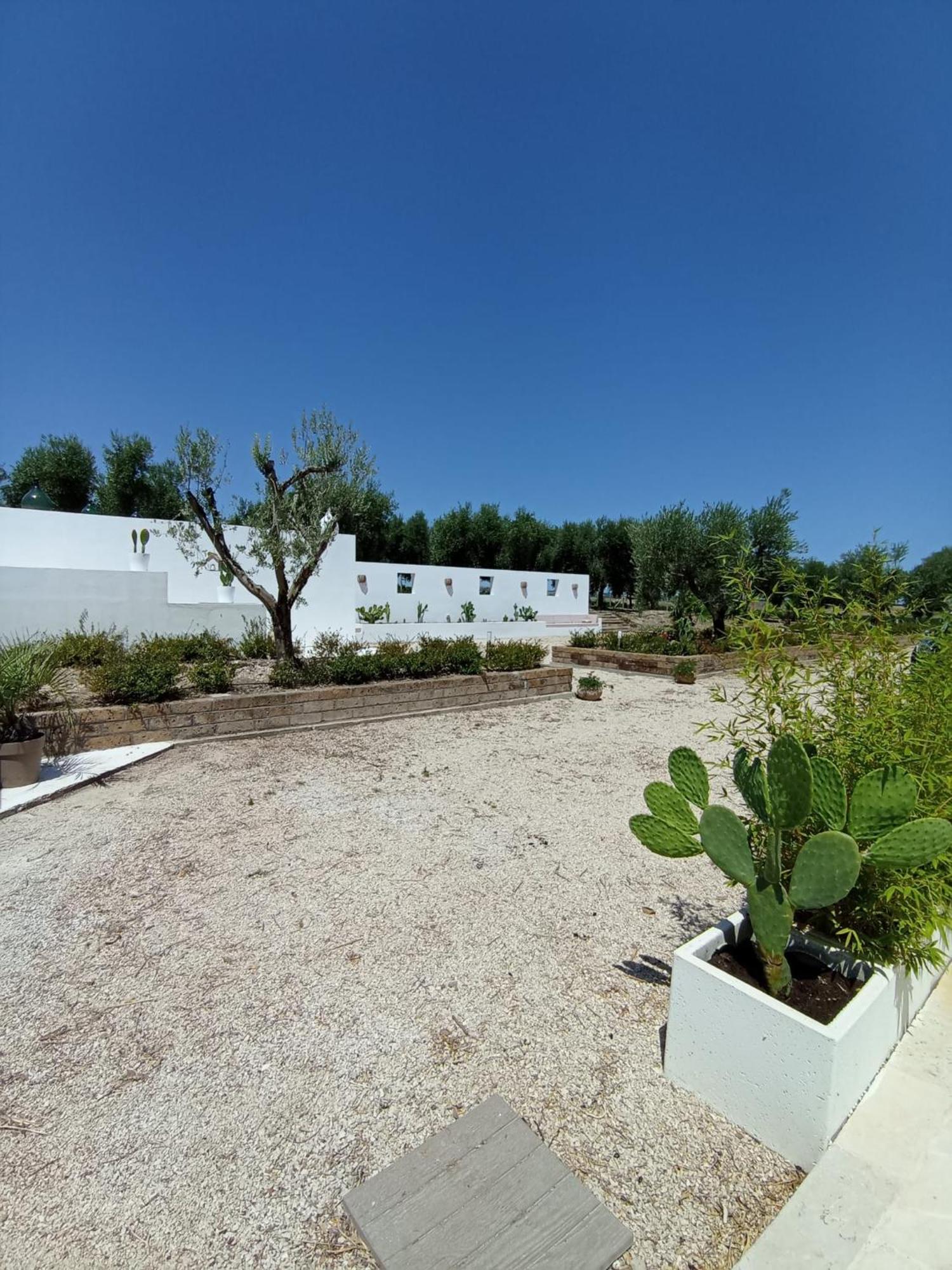 Tenuta Viale Degli Ulivi San Martino in Pensilis Buitenkant foto