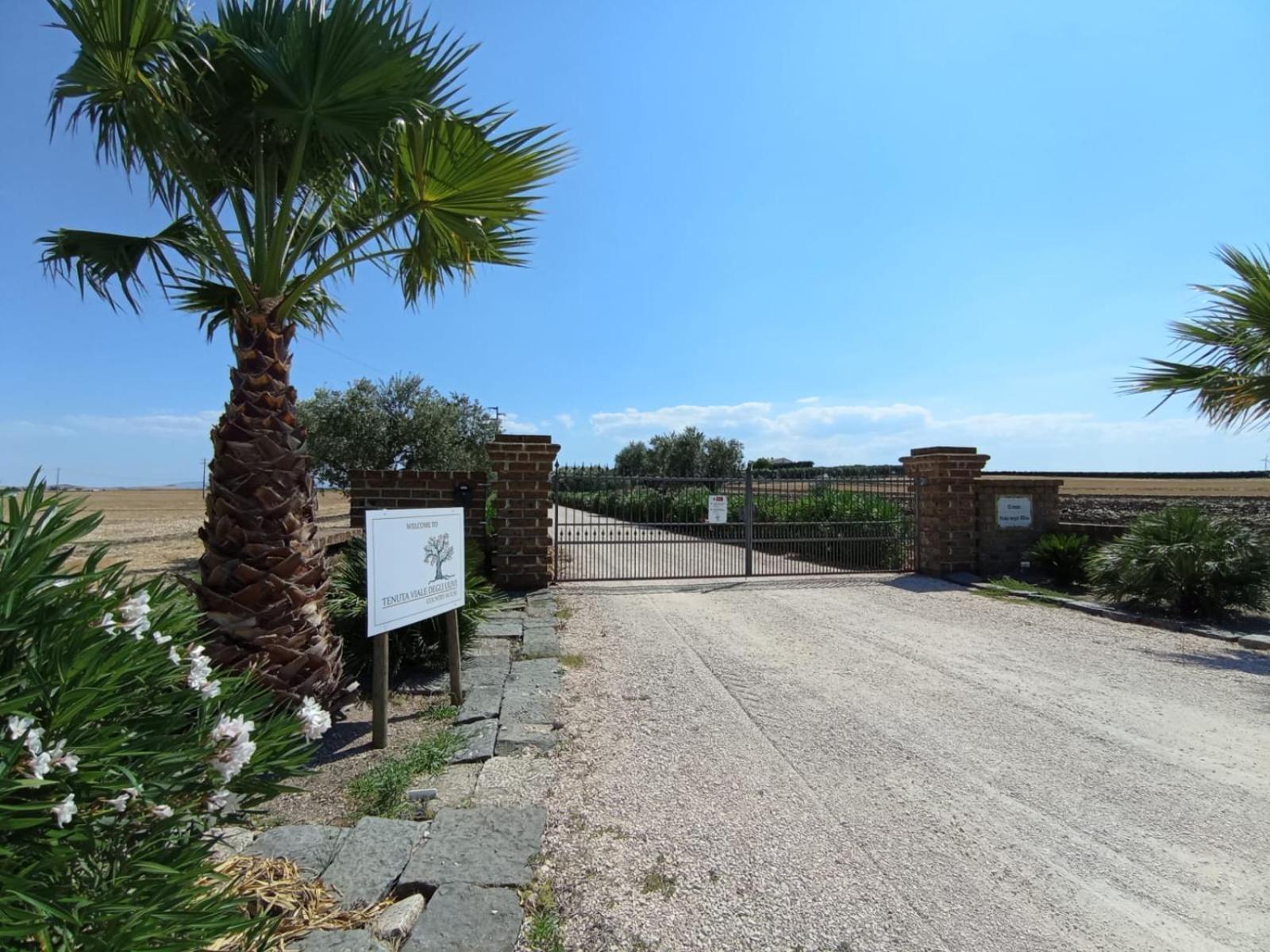Tenuta Viale Degli Ulivi San Martino in Pensilis Buitenkant foto